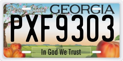 GA license plate PXF9303