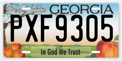 GA license plate PXF9305