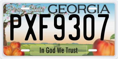 GA license plate PXF9307