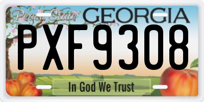 GA license plate PXF9308