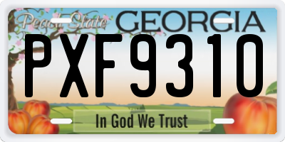 GA license plate PXF9310
