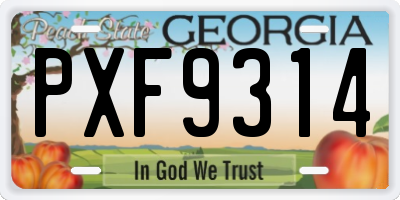 GA license plate PXF9314