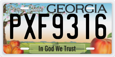 GA license plate PXF9316