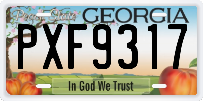 GA license plate PXF9317