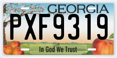 GA license plate PXF9319