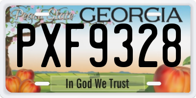 GA license plate PXF9328