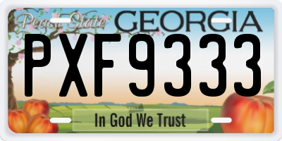 GA license plate PXF9333