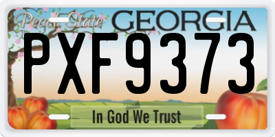GA license plate PXF9373