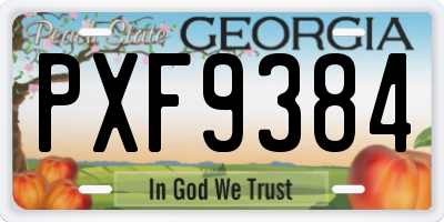 GA license plate PXF9384