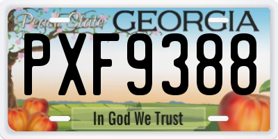 GA license plate PXF9388