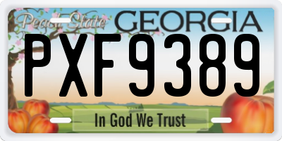 GA license plate PXF9389