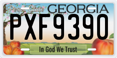 GA license plate PXF9390