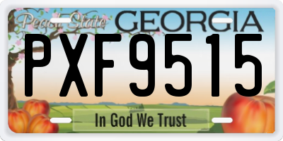 GA license plate PXF9515