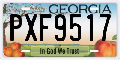 GA license plate PXF9517