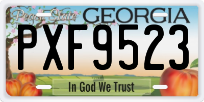 GA license plate PXF9523