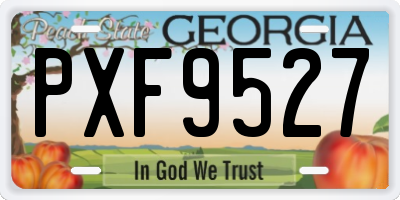 GA license plate PXF9527
