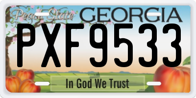 GA license plate PXF9533