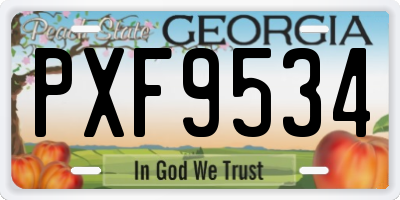 GA license plate PXF9534