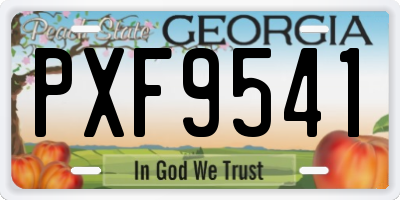 GA license plate PXF9541