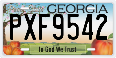 GA license plate PXF9542