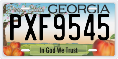 GA license plate PXF9545