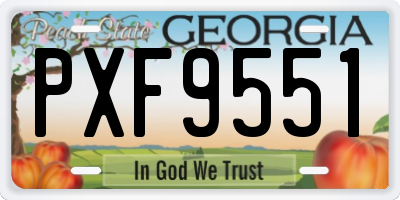 GA license plate PXF9551