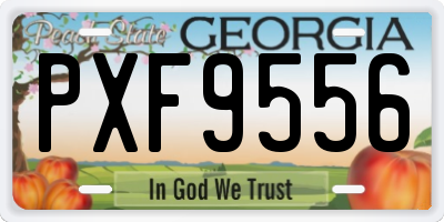 GA license plate PXF9556