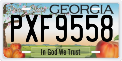 GA license plate PXF9558