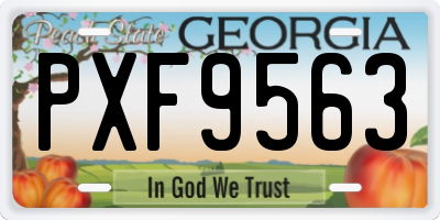 GA license plate PXF9563