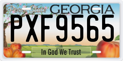 GA license plate PXF9565
