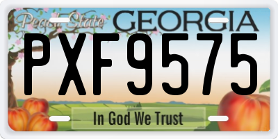 GA license plate PXF9575
