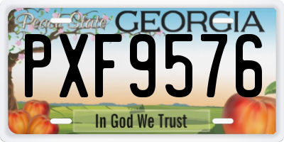 GA license plate PXF9576