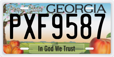 GA license plate PXF9587