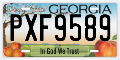 GA license plate PXF9589