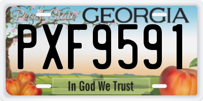 GA license plate PXF9591
