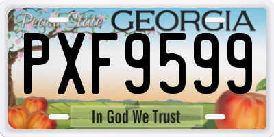 GA license plate PXF9599