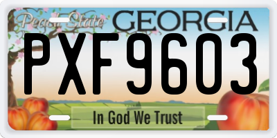 GA license plate PXF9603