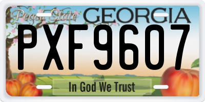 GA license plate PXF9607