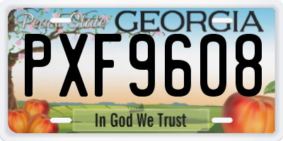 GA license plate PXF9608