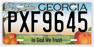 GA license plate PXF9645