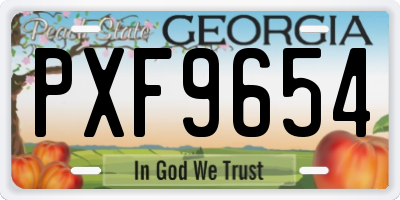 GA license plate PXF9654