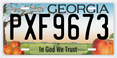 GA license plate PXF9673