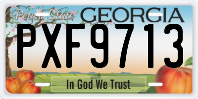 GA license plate PXF9713