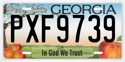 GA license plate PXF9739