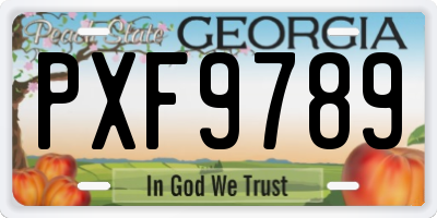 GA license plate PXF9789