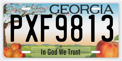 GA license plate PXF9813