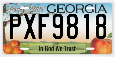 GA license plate PXF9818