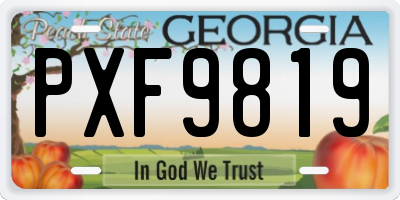 GA license plate PXF9819