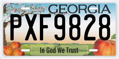 GA license plate PXF9828