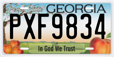 GA license plate PXF9834